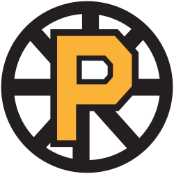 Providence Bruins Logo